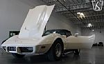 1979 Corvette Thumbnail 43