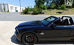 2014 Mustang Super Snake Convertibl Thumbnail 11