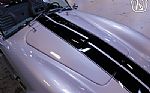 1966 Cobra Thumbnail 33