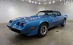 1979 Firebird Trans Am Thumbnail 4