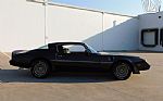 1981 Firebird Thumbnail 14