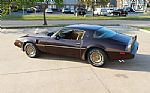 1981 Firebird Thumbnail 45