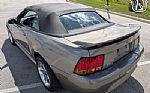 2001 Mustang Cobra SVT Thumbnail 8