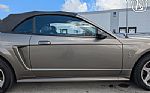 2001 Mustang Cobra SVT Thumbnail 39