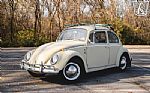 1965 Beetle Thumbnail 4