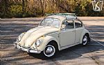 1965 Beetle Thumbnail 3