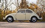 1965 Beetle Thumbnail 8