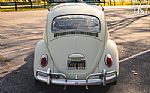 1965 Beetle Thumbnail 12