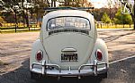 1965 Beetle Thumbnail 13