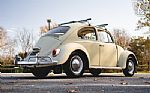 1965 Beetle Thumbnail 17