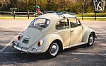 1965 Beetle Thumbnail 15