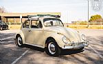 1965 Beetle Thumbnail 22