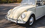 1965 Beetle Thumbnail 27