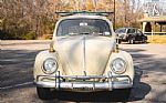 1965 Beetle Thumbnail 25