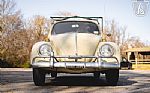 1965 Beetle Thumbnail 26