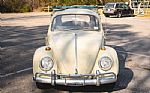 1965 Beetle Thumbnail 24