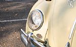 1965 Beetle Thumbnail 30