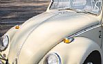 1965 Beetle Thumbnail 34