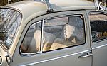 1965 Beetle Thumbnail 41