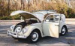 1965 Beetle Thumbnail 60