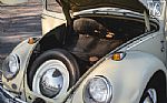 1965 Beetle Thumbnail 65
