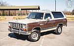 1983 Ramcharger SE Prospector Thumbnail 3