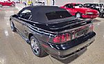 1996 Mustang SVT Cobra Convertible Thumbnail 6