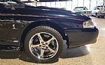 1996 Mustang SVT Cobra Convertible Thumbnail 21