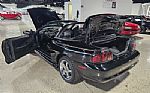 1996 Mustang SVT Cobra Convertible Thumbnail 56