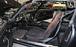 1981 Firebird Trans Am Thumbnail 6