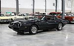 1981 Firebird Trans Am Thumbnail 12
