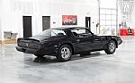 1981 Firebird Trans Am Thumbnail 16