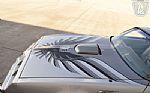 1979 Firebird Trans Am Thumbnail 31