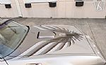 1979 Firebird Trans Am Thumbnail 48