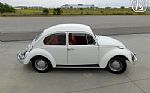 1966 Beetle Thumbnail 12
