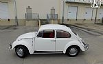 1966 Beetle Thumbnail 22