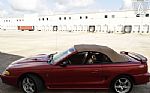 1998 Mustang SVT Cobra Thumbnail 13