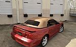 1998 Mustang SVT Cobra Thumbnail 22