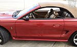 1998 Mustang SVT Cobra Thumbnail 41