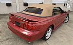 1998 Mustang SVT Cobra Thumbnail 47