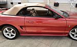 1998 Mustang SVT Cobra Thumbnail 52
