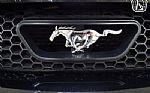 2001 Mustang Thumbnail 58