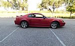 2001 Mustang Cobra SVT Thumbnail 3