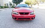 2001 Mustang Cobra SVT Thumbnail 2