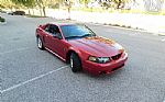 2001 Mustang Cobra SVT Thumbnail 8