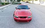 2001 Mustang Cobra SVT Thumbnail 7
