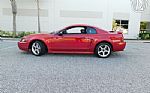 2001 Mustang Cobra SVT Thumbnail 5