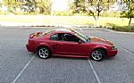 2001 Mustang Cobra SVT Thumbnail 12