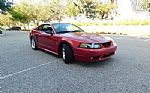 2001 Mustang Cobra SVT Thumbnail 9