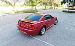 2001 Mustang Cobra SVT Thumbnail 13
